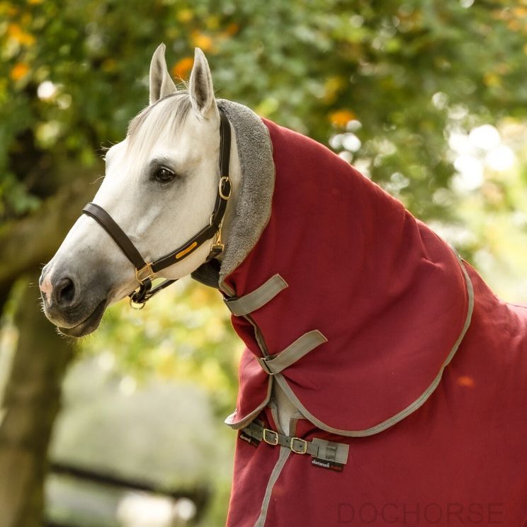 Dominick Cosy Hood Bordeaux Warm