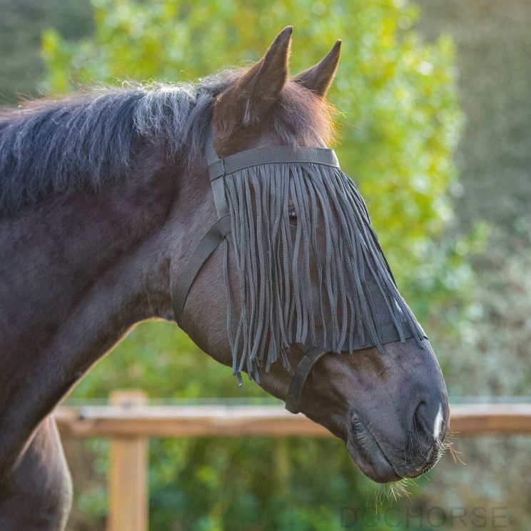 QHP Weide halster met vliegenfrontriem