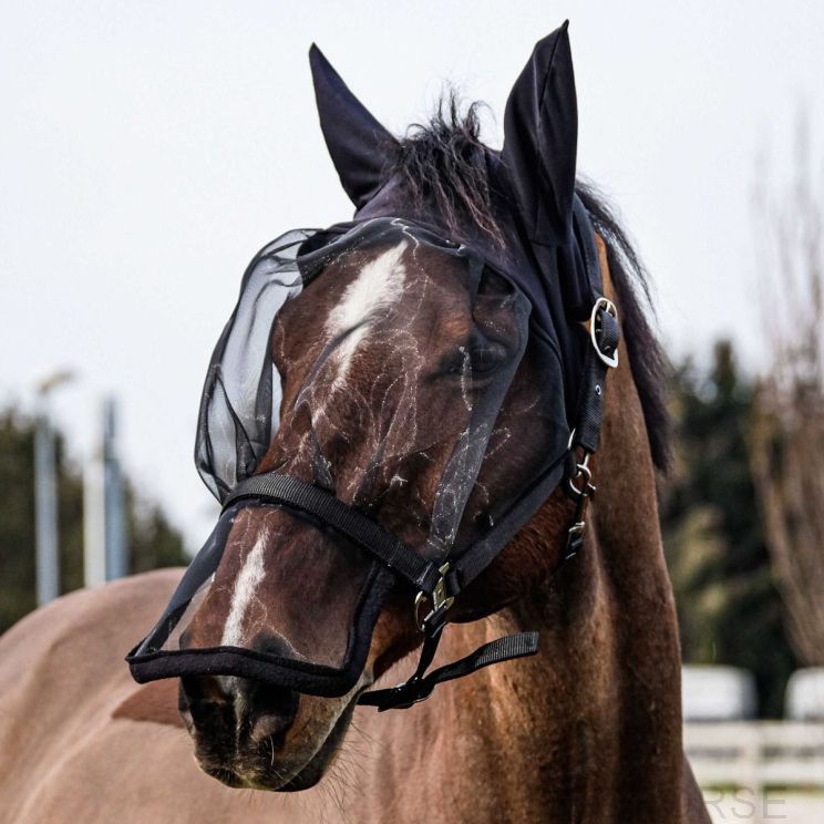 Equithème Halter + Anti-UV Mask