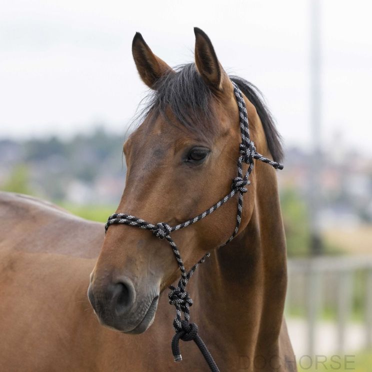 Riding World Headcollar Fine Ethological With Lead Rope Black