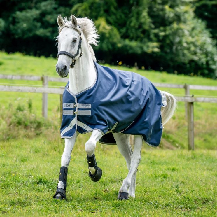 Amigo Bravo 12 Medium Navy