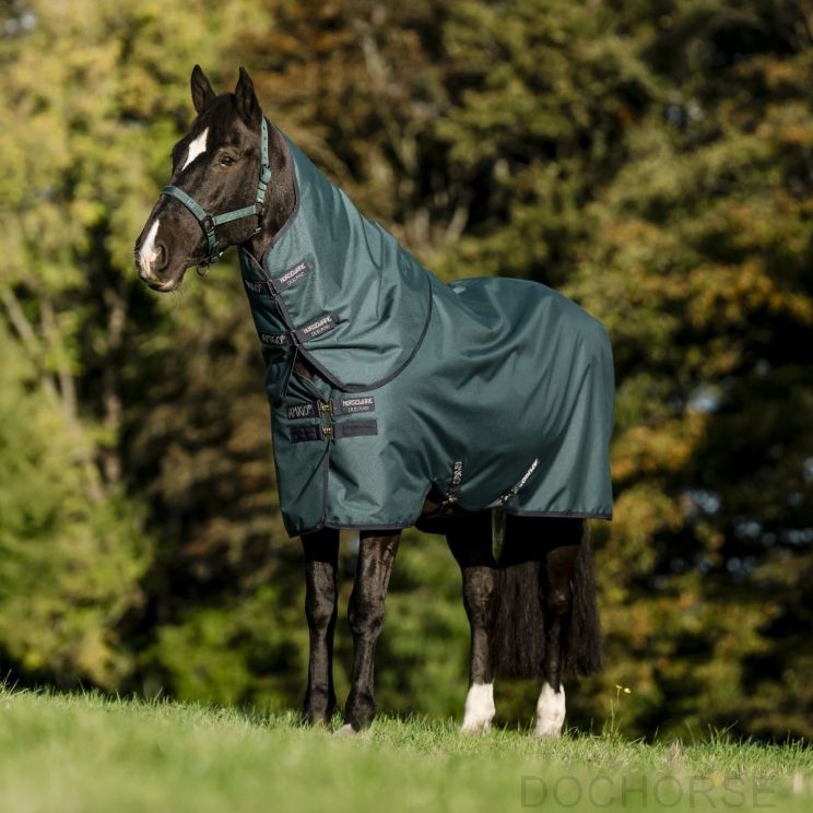 Amigo Hero 900 D Plus Ripstop 100 gr Dynasty Green