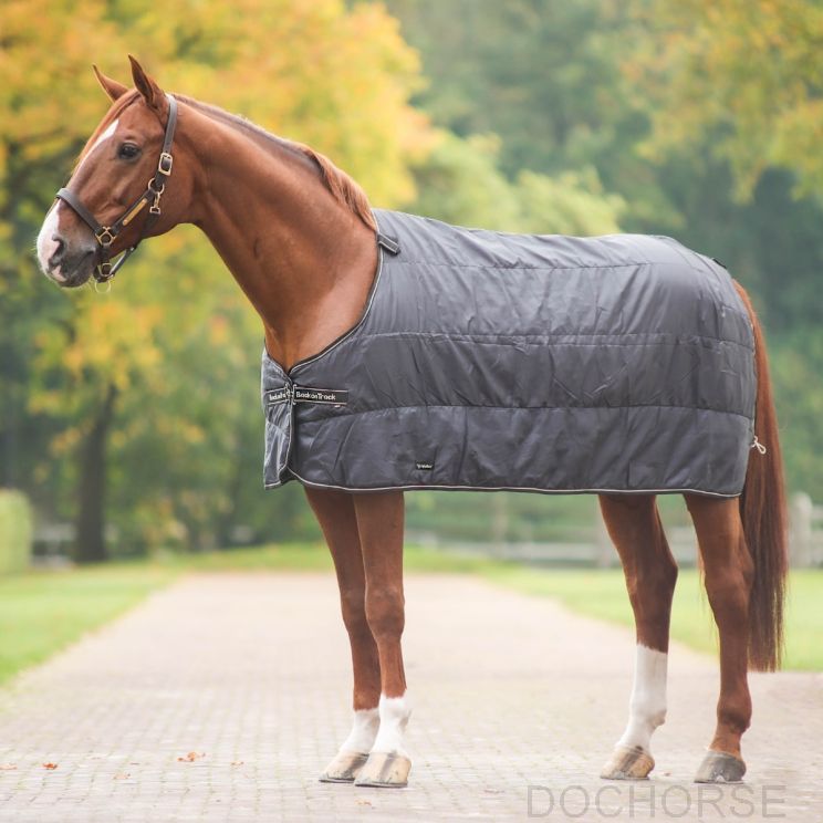 Back On Track Liner 200 g