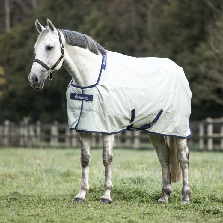 Bucas Power Turnout Light