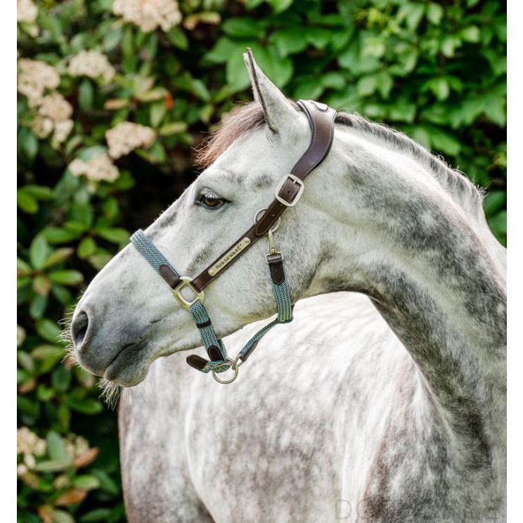Horseware Signature Braided Headcollar Brown/Navy & Blue Haze