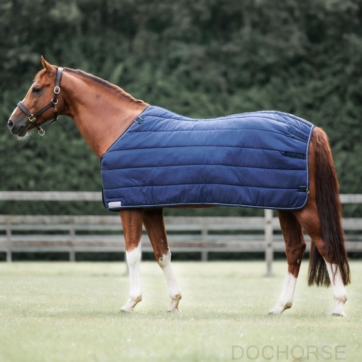 Dominick Liner 300GR