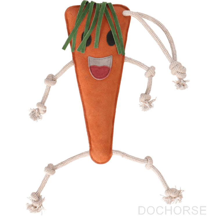 Excellent Horse Foodie Friends Carrot