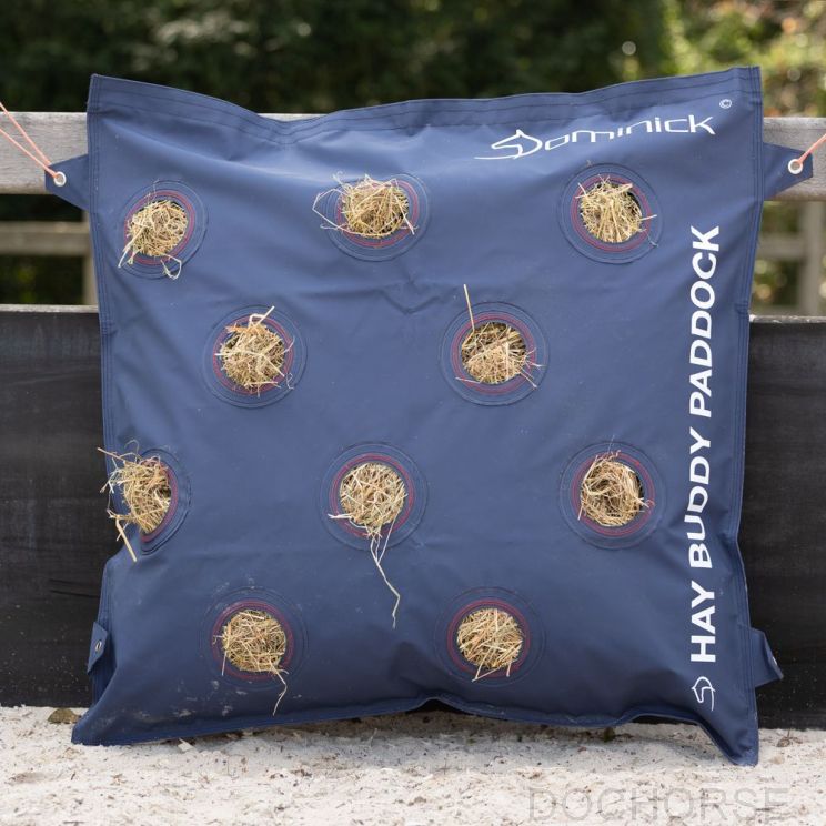 Dominick Hay Buddy Paddock Front