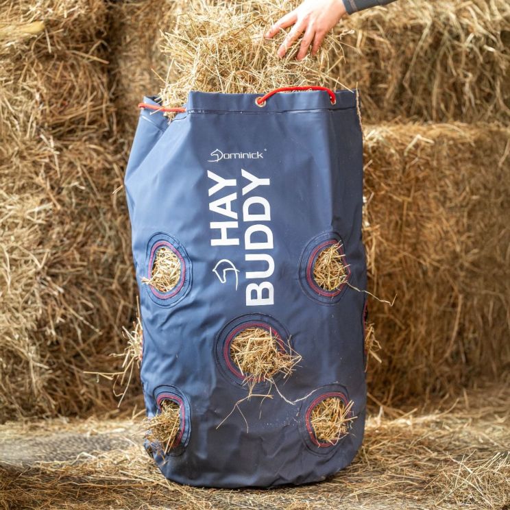 dominick hay buddy