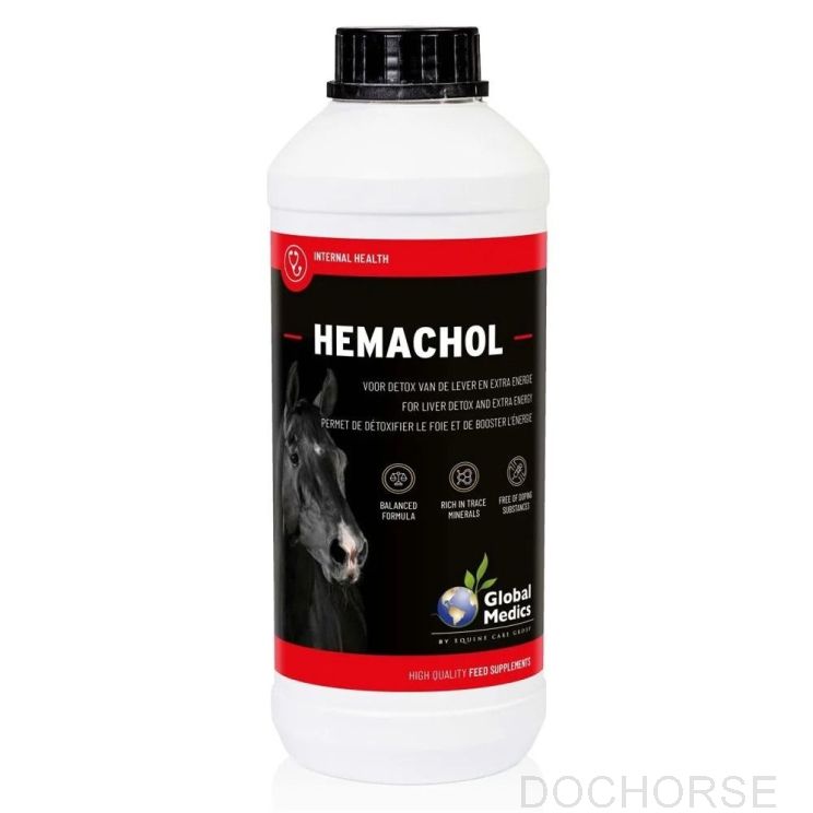 Global Medics Hemachol