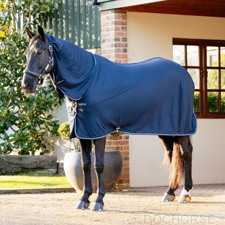 Lemieux Arika Rug DryEase Navy