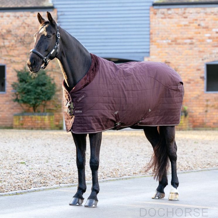 Lemieux Stable Rug Kudos Luxe Lined Damson