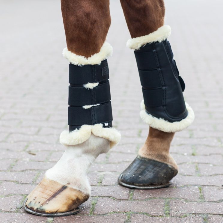 Kavalkade beenbeschermers