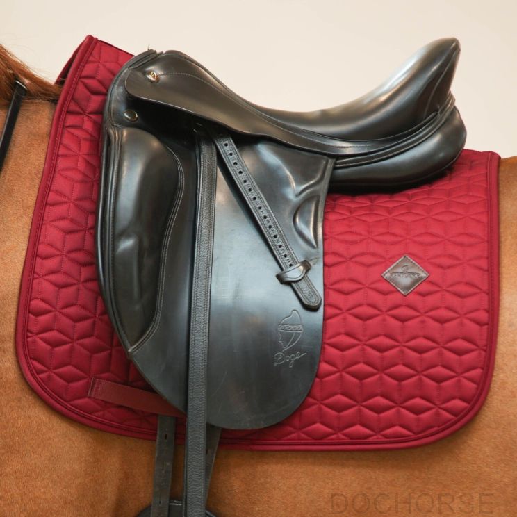 kentucky dekje basic