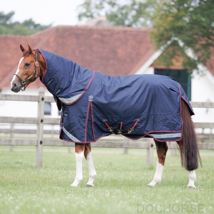 Lemieux Kudos 350 grams paardendeken