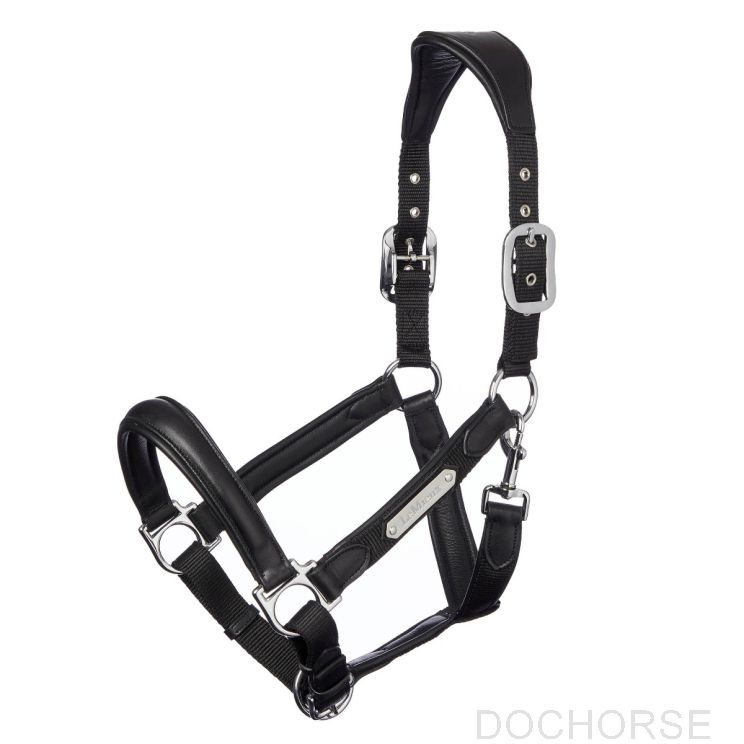 Lemieux Halster Capella