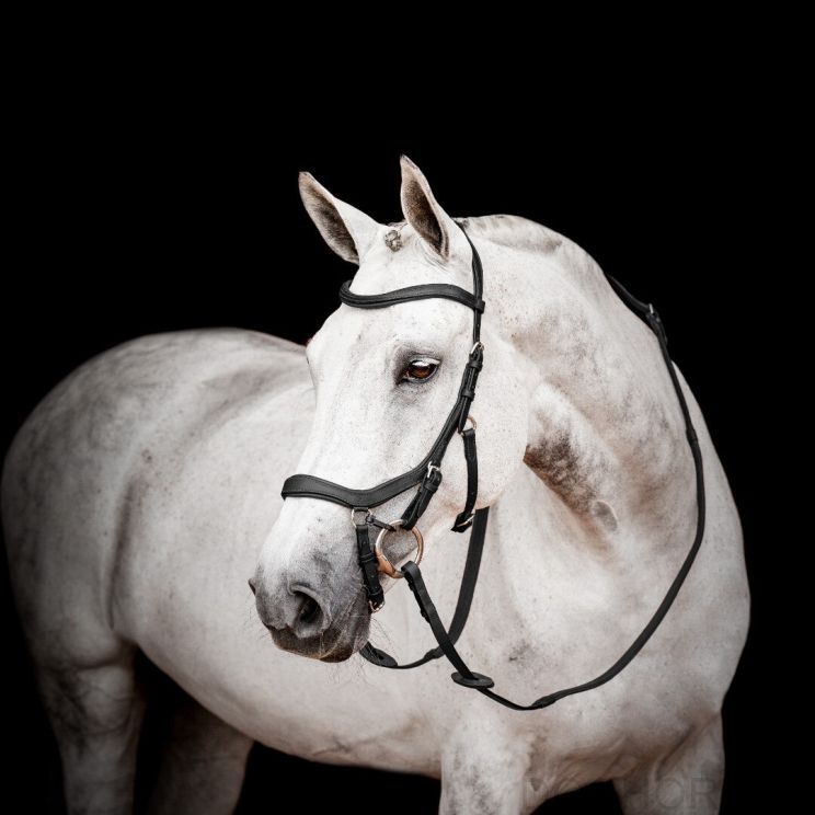 Horseware Micklem 2 Hoofdstel Competition