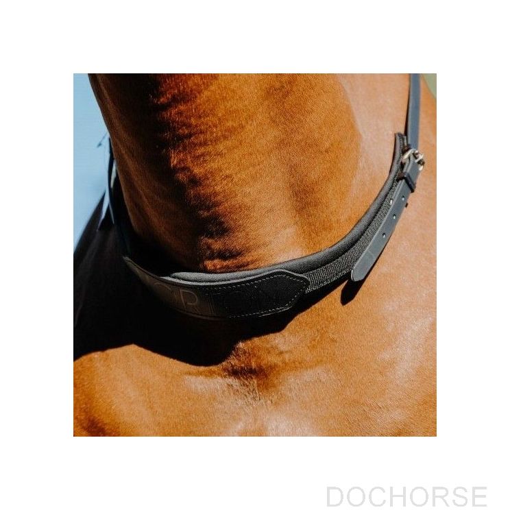 Norton Bareback Neckrope