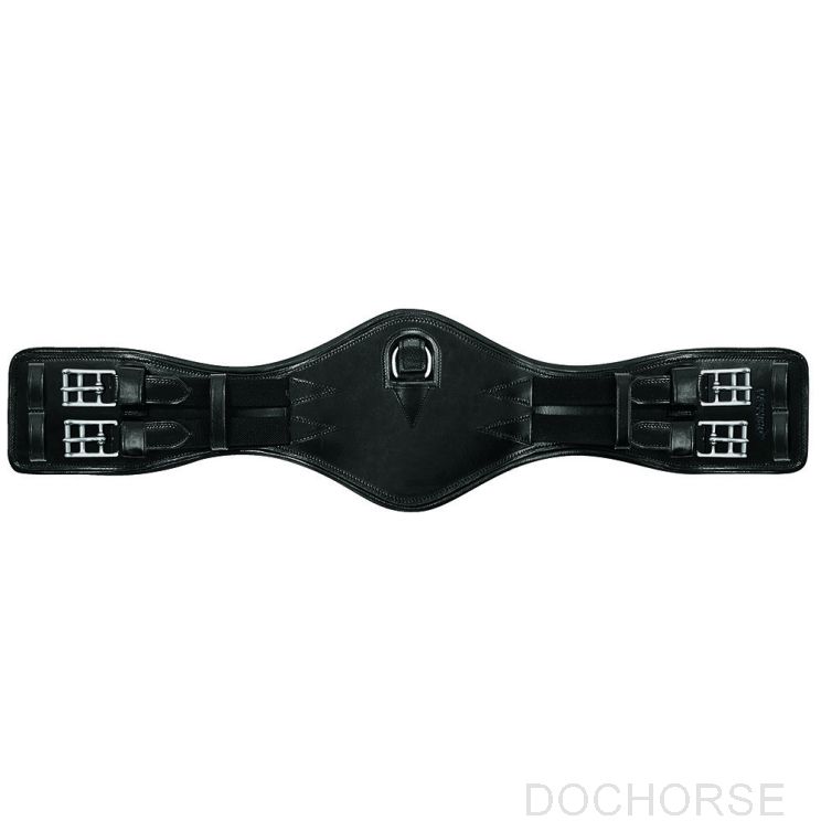 Passier Dressuur Singel