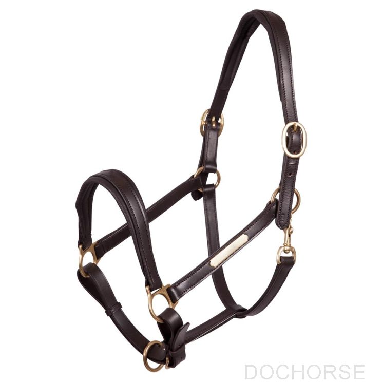 Premiere Halster Leer