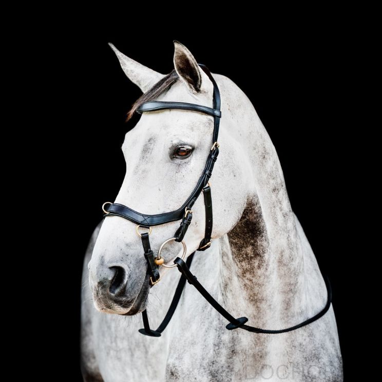 Horseware Micklem 2 Multi Hoofdstel