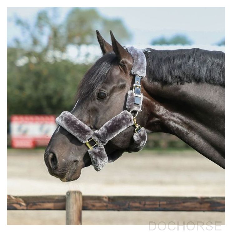 Bucas Show-Line Full Fur Halter Navy