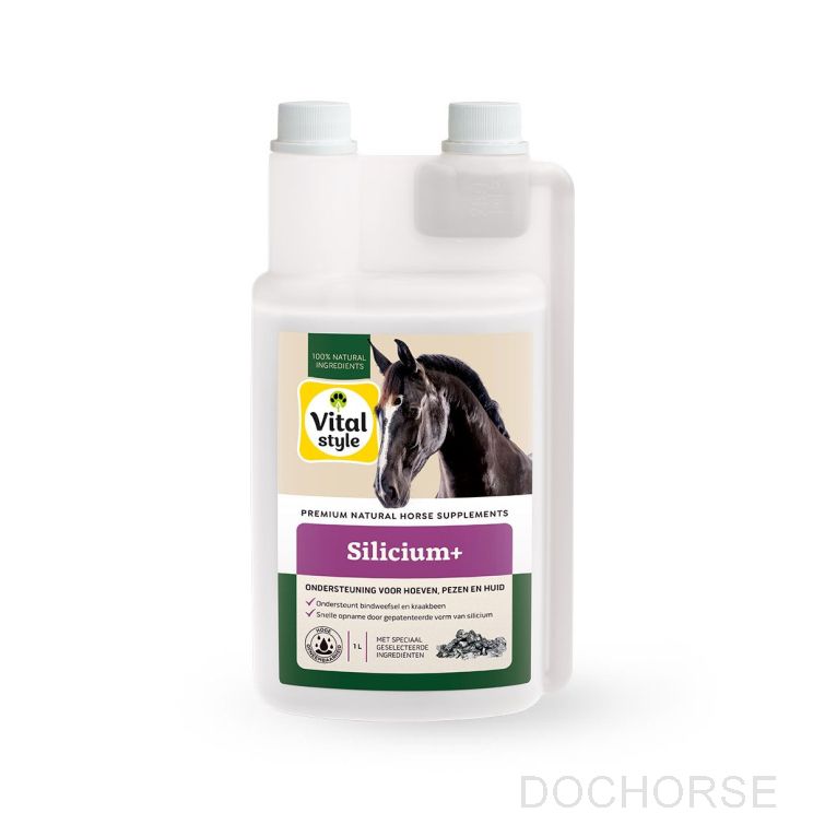 Vitalstyle Silicium+