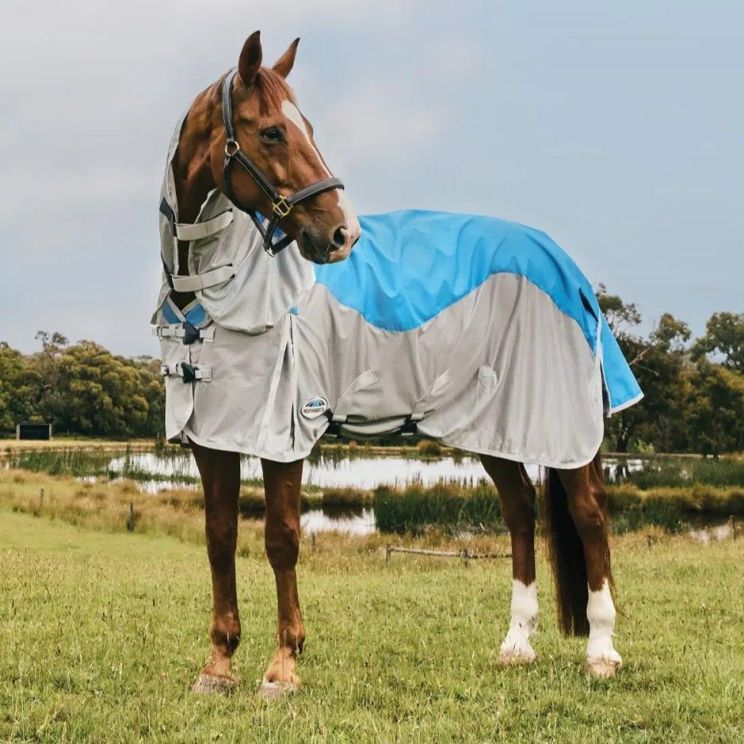 Weatherbeeta Rug Dual Shield ComFiTec