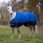 Equithème Turnout Rug 1200D Tyrex Aisance 50 G
