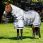 LeMieux Fly Rug Kudos AeroGuard