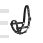 Eskadron Foal Headcollar