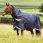 LeMieux Kudos Thermo Layer Turnout Rug 300g