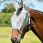Weatherbeeta Fly Mask ComFiTec Hexi Shield Dual