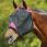 Weatherbeeta Flymask Comfitec Deluxe 