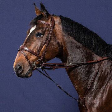 Dy'on Hulpteugel Howlett New English