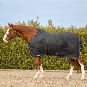 Dominick Regendeken Turnout Lite