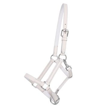 QHP Veulenhalster leer met clip