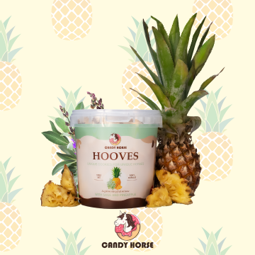 Candy Horse Jungle Hooves Pineapple & Sage