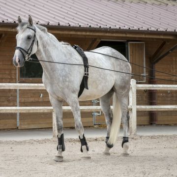 Riding World Long Reins