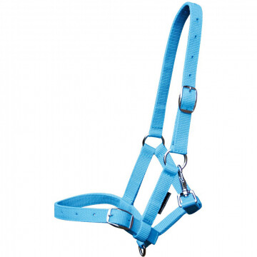Foal Headcollar