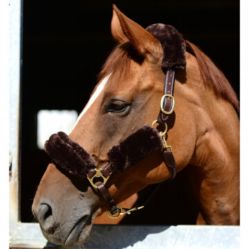 Kentucky halter set 4 pieces