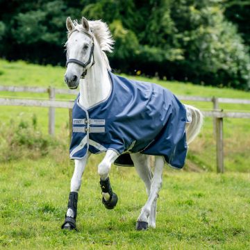 Amigo Bravo 12 Medium Navy