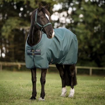 Amigo Hero 900 D Lite Ripstop 50 gr Dynasty Green