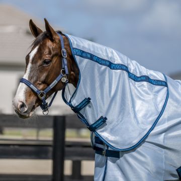 Amigo Hood Bug Rug Azure