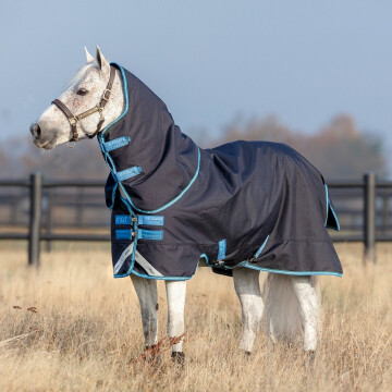 AMIGO BRAVO 12 PLUS MEDIUM PONY