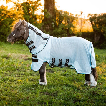 Amigo petite bug rug