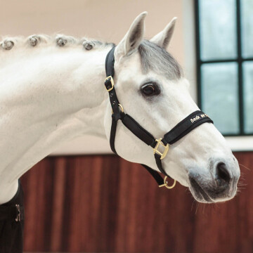 Back on Track Werano Halter