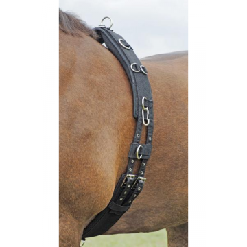 Busse lunging girth profi-soft