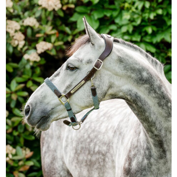 Horseware Signature Braided Headcollar Brown/Navy & Blue Haze