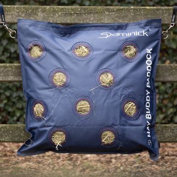 Dominick Hay Buddy Paddock